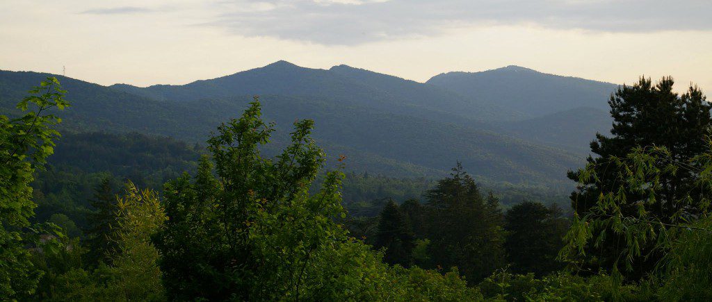 La vue depuis le terrain